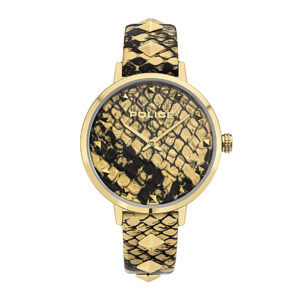 Police Socotra Analog Men's Watch PEWLA2109702